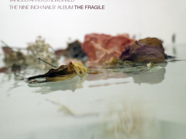 The Fragile dei N.I.N. Nine Inch Nails usciva 20 anni fa: ecco il disco tributo curato da O’Live Produzioni, in collaborazione con Seahorse Recordings