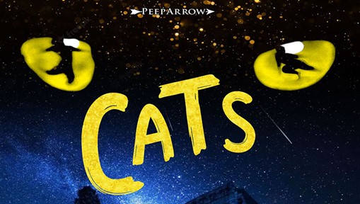 Cats, nuova versione del musical annunciata da Massimo Romeo Piparo