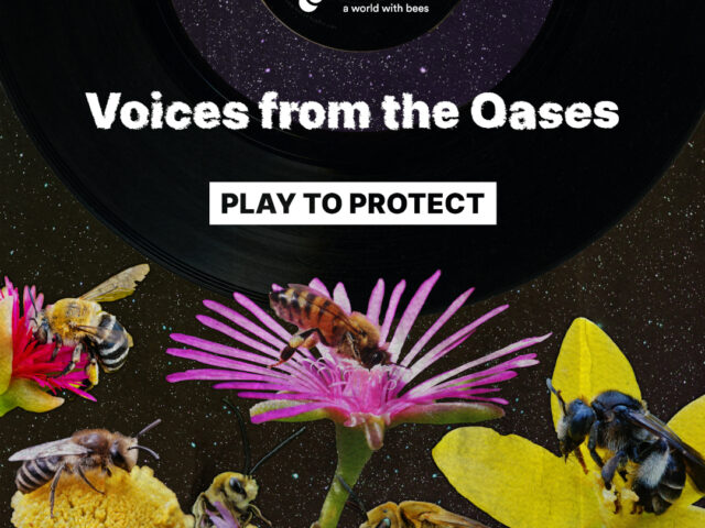 Voci dalle Oasi: una playlist per la salvaguardia della biodiversità