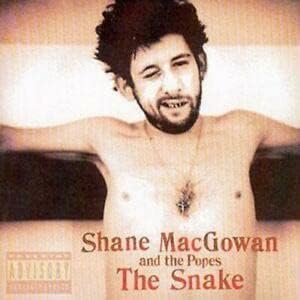 Addio a Shane MacGowan, cantante dei Pogues