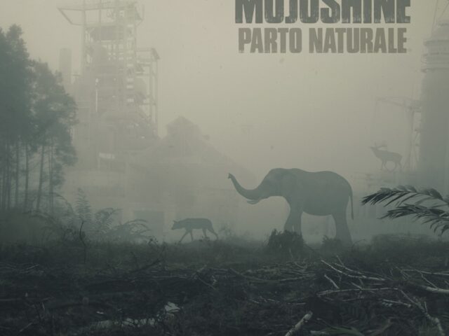 Mojoshine – Parto naturale (Overdub Recordings ODR 208)