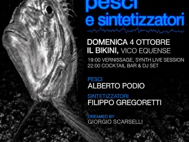 Pesci e sintetizzatori: il mare di Vico Equense diventa musica elettronica